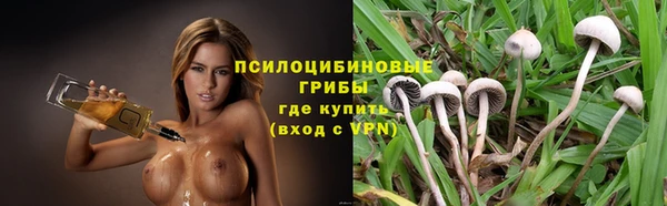 дживик Магадан