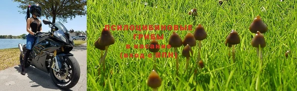 бошки Майский