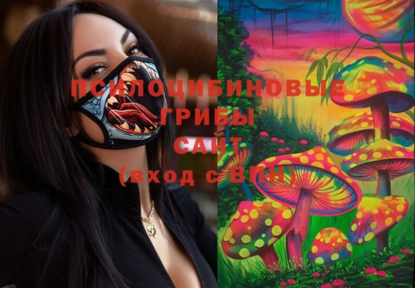 бошки Майский