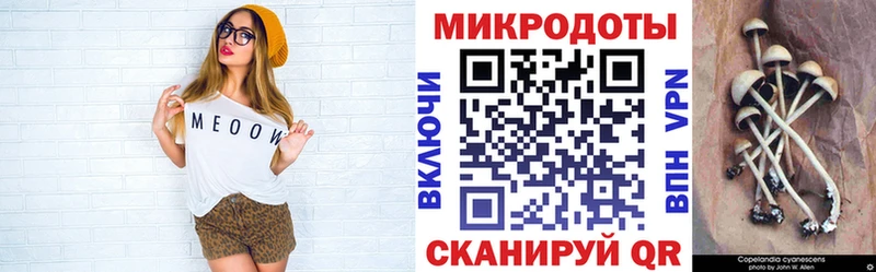 Галлюциногенные грибы ЛСД  Купить где  Туран 